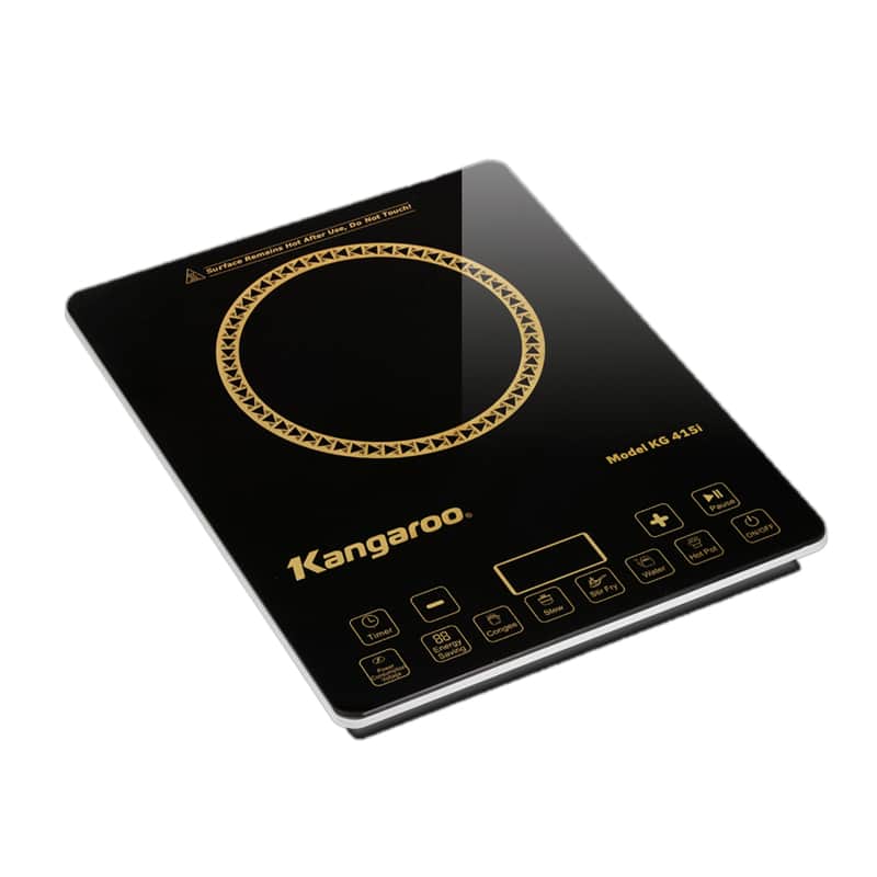 Bếp điện từ đơn thích hợp với không gian bếp sang trọng